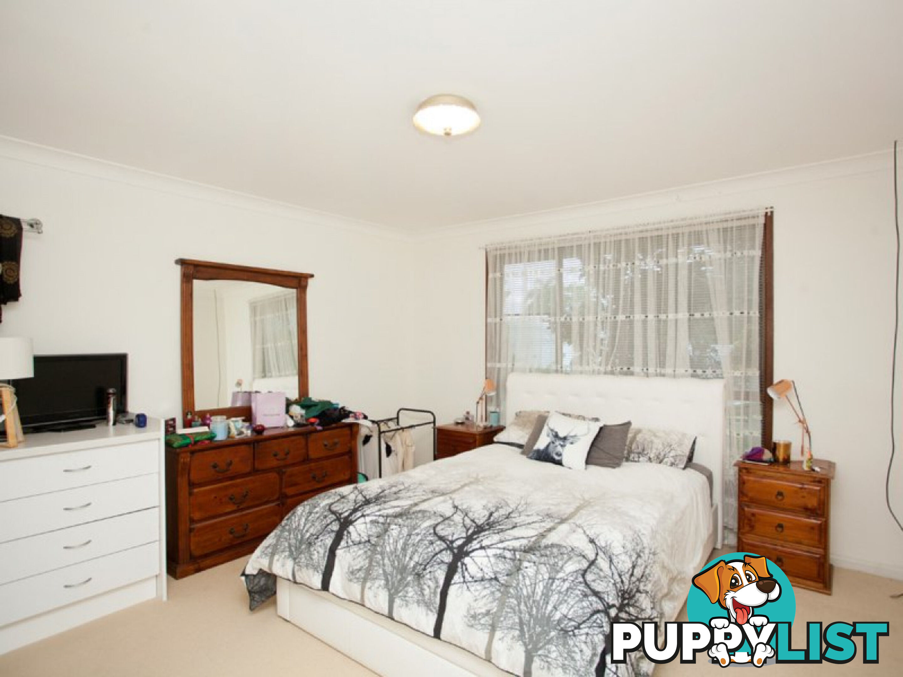 20 Adina Close FORSTER NSW 2428