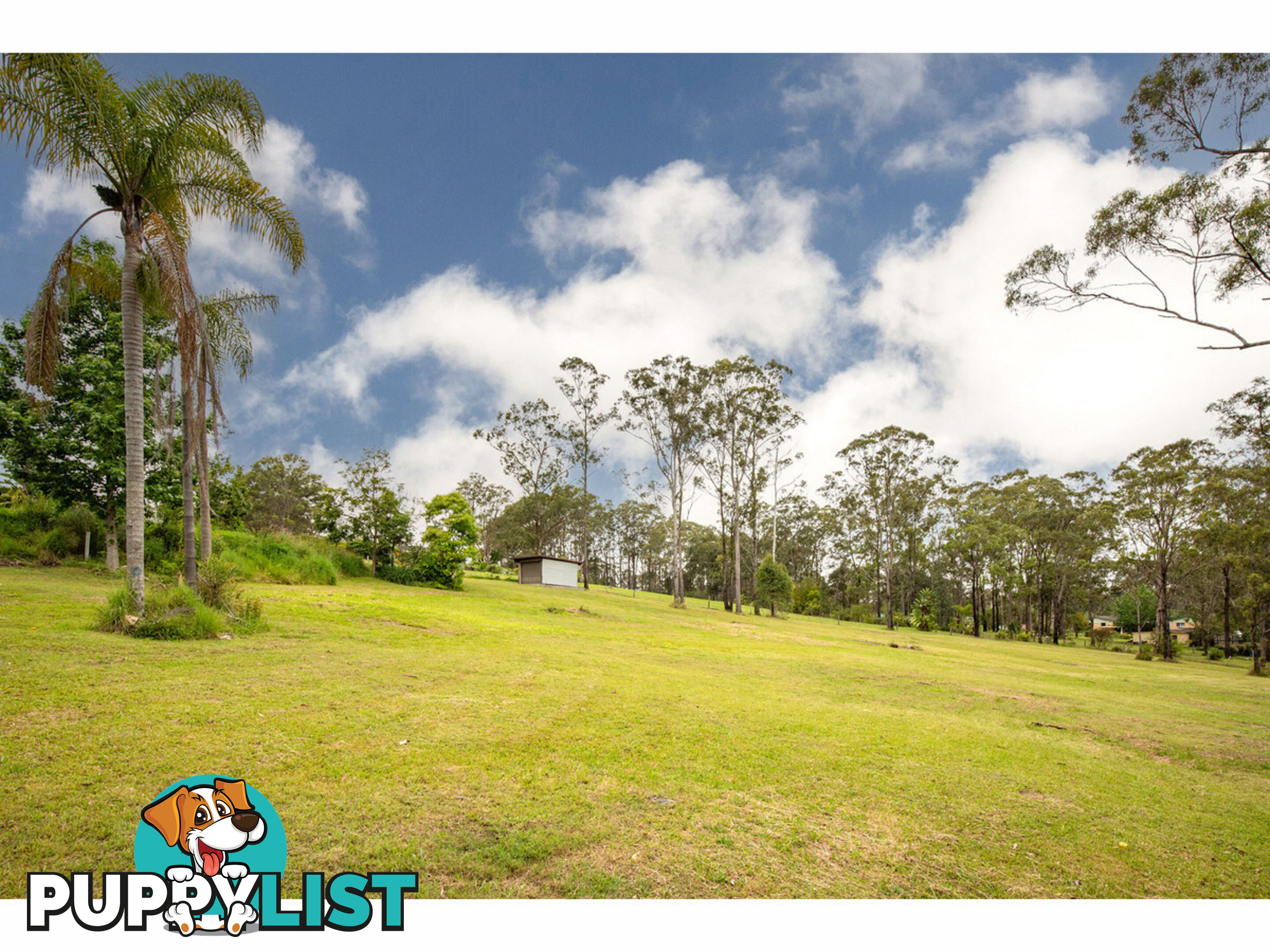 4a Homestead Heights HALLIDAYS POINT NSW 2430