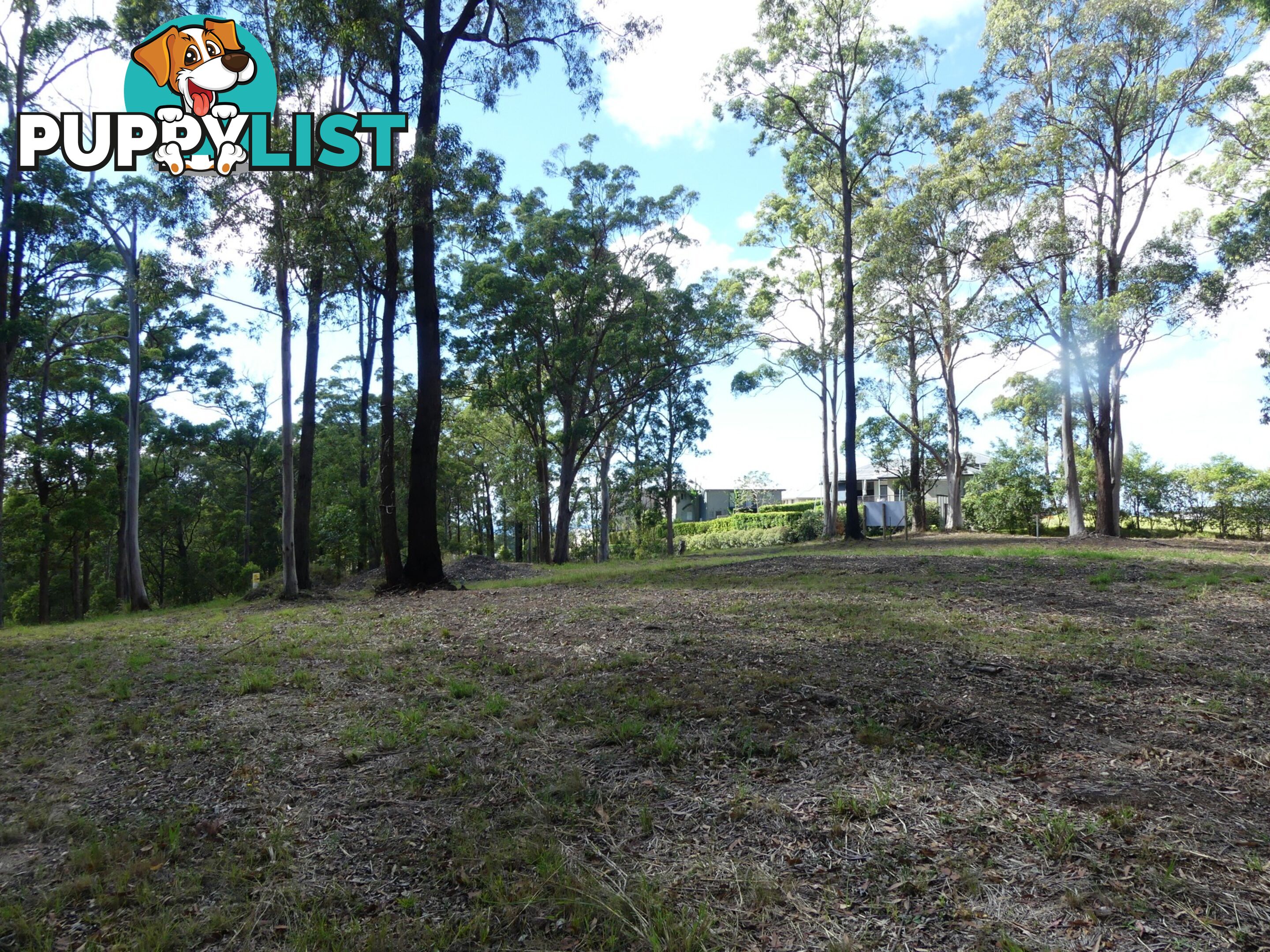 Lot 5/131 Tallwoods Drive TALLWOODS VILLAGE NSW 2430