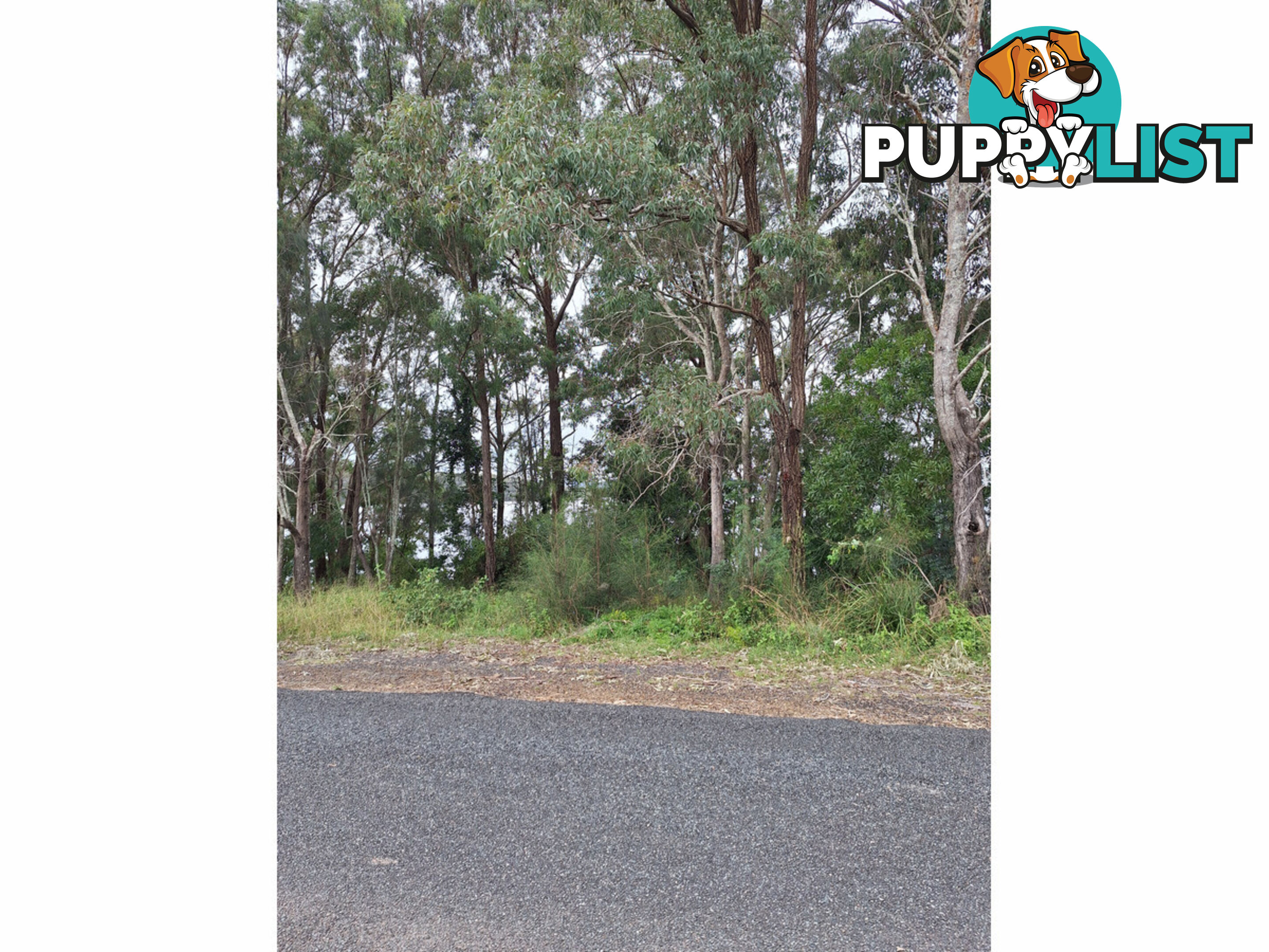 37 Coomba Road COOMBA PARK NSW 2428