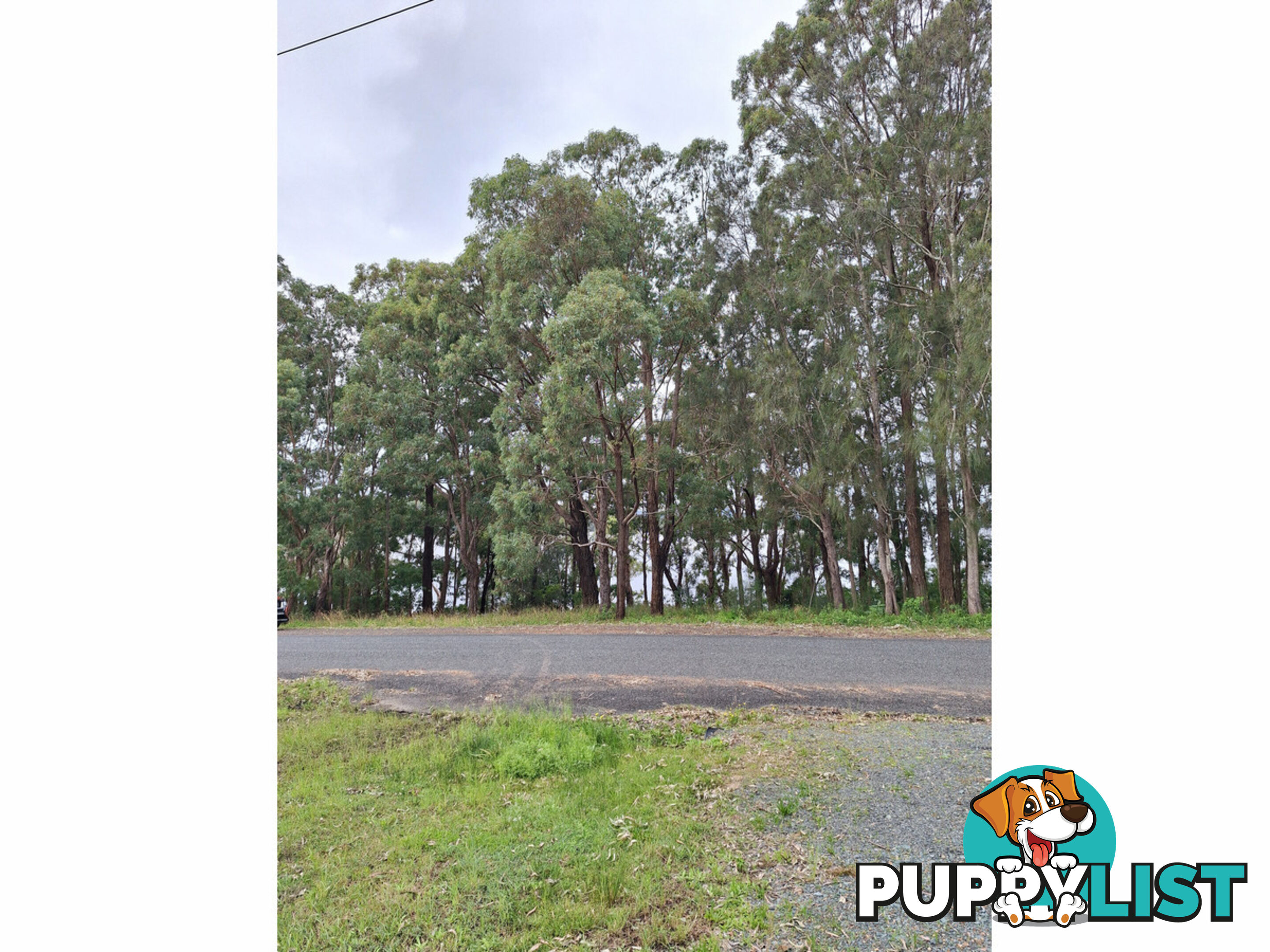 37 Coomba Road COOMBA PARK NSW 2428