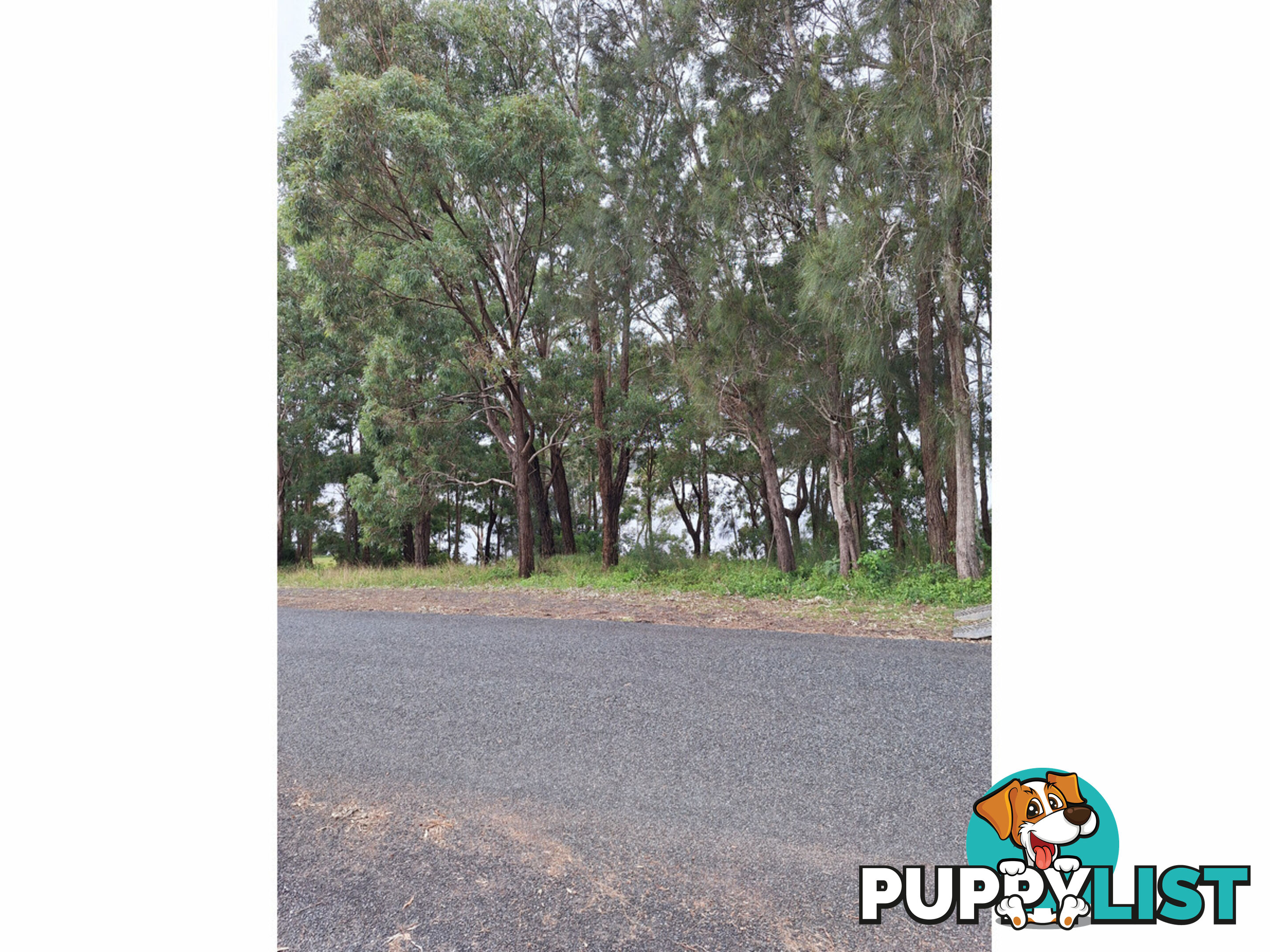 37 Coomba Road COOMBA PARK NSW 2428