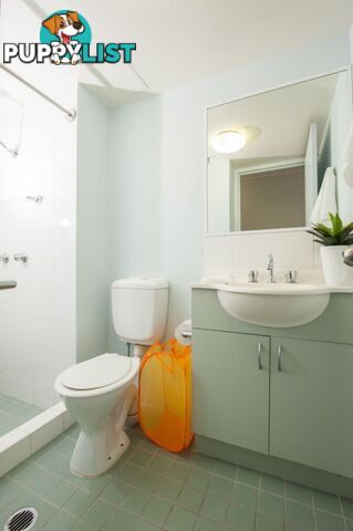 EXECUTIVE - 1 BEDROOM APARTMENT - UNILODGE ON MARGARET