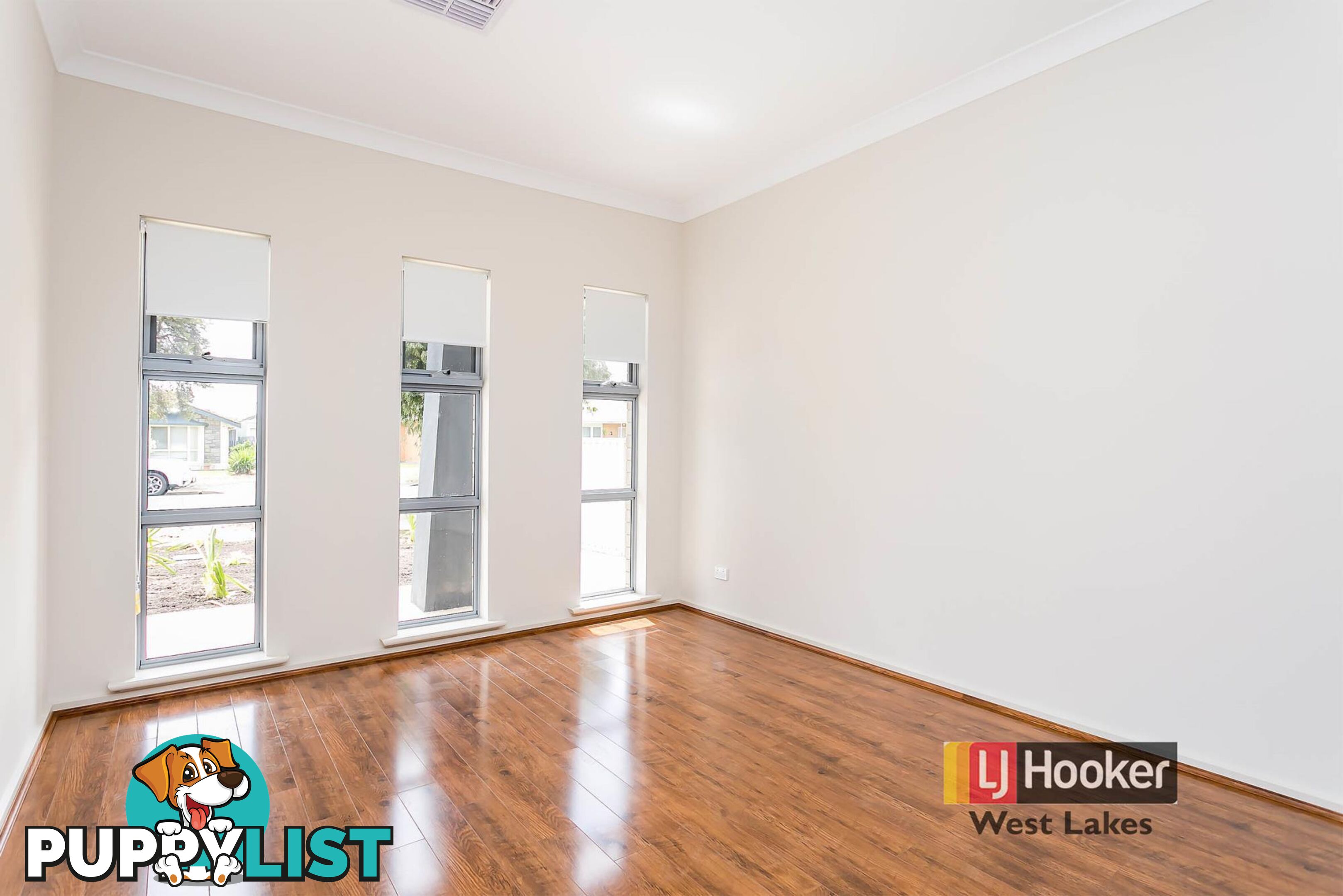 38a William Street SOUTH PLYMPTON SA 5038