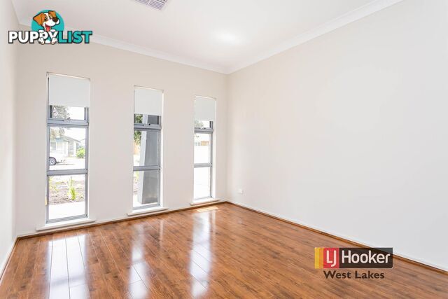 38a William Street SOUTH PLYMPTON SA 5038