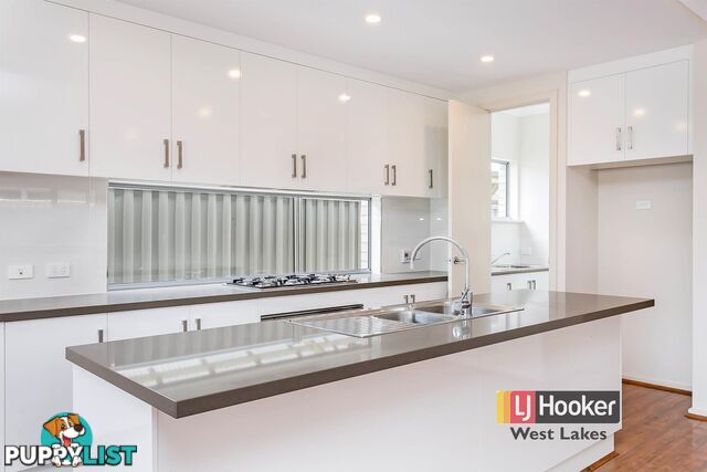 38a William Street SOUTH PLYMPTON SA 5038