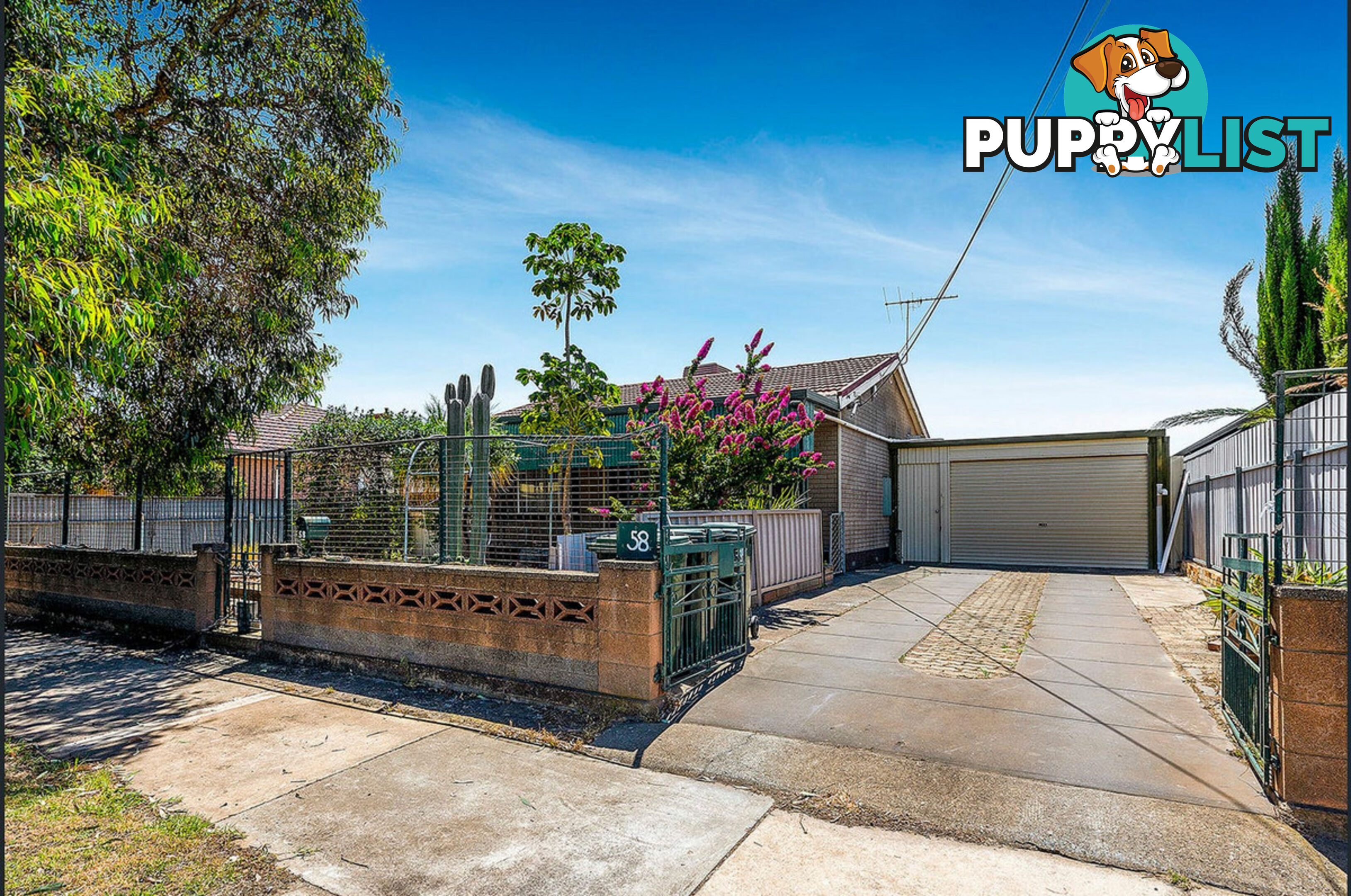 58 Agnes Street OTTOWAY SA 5013