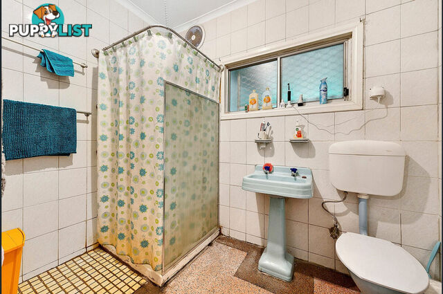 58 Agnes Street OTTOWAY SA 5013