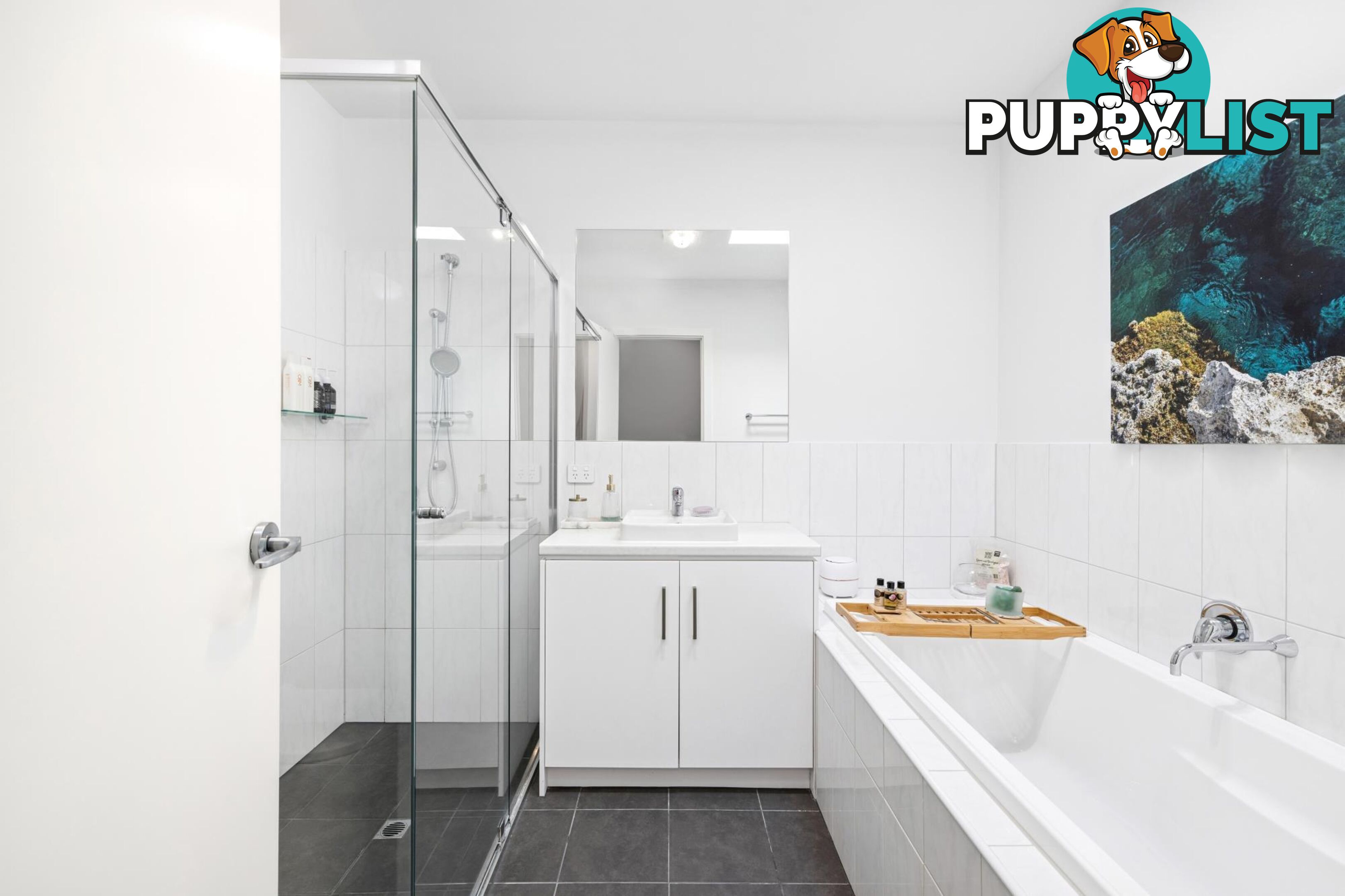 8 Symon Lane WEST LAKES SA 5021