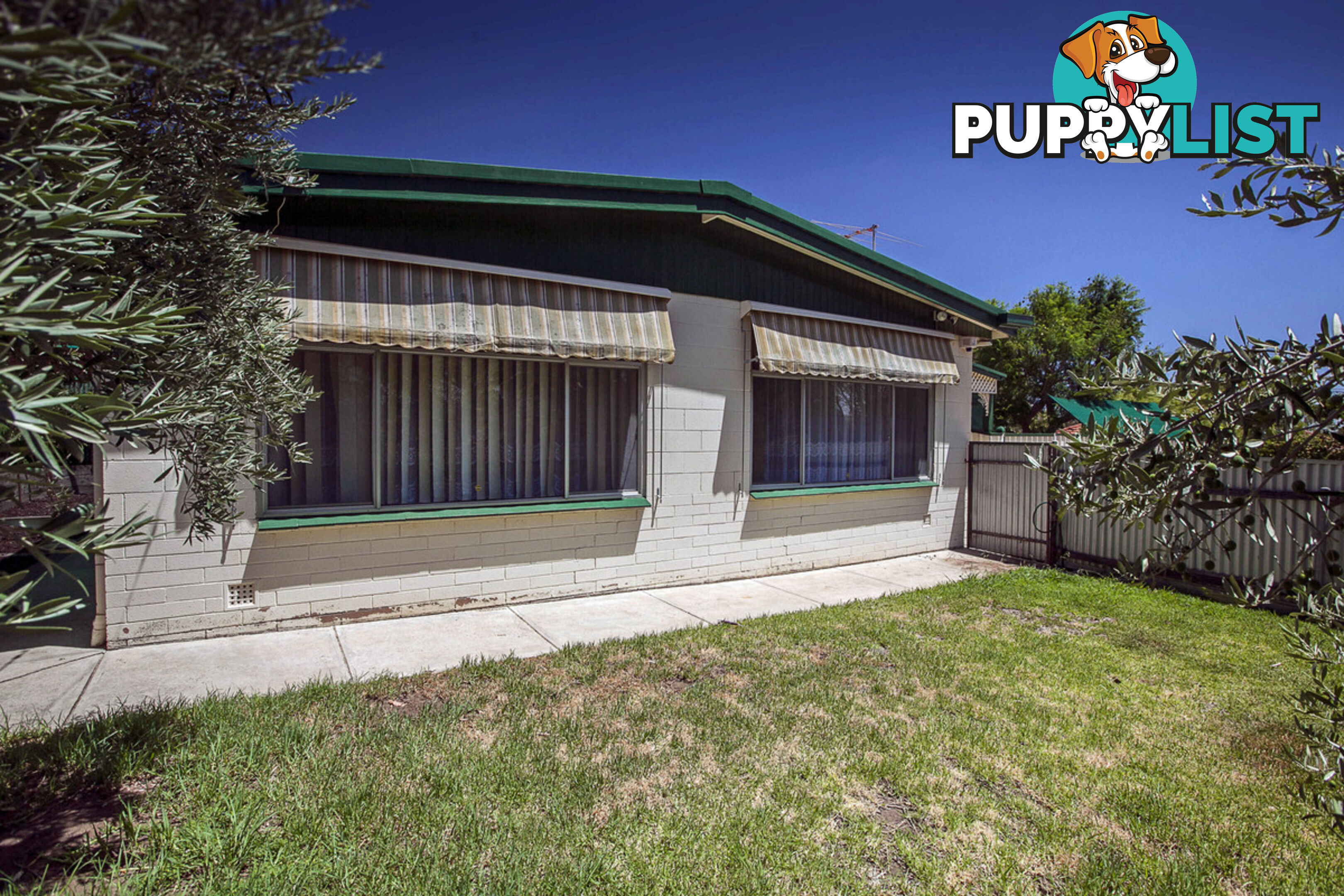 1 Albion Street RIDGEHAVEN SA 5097