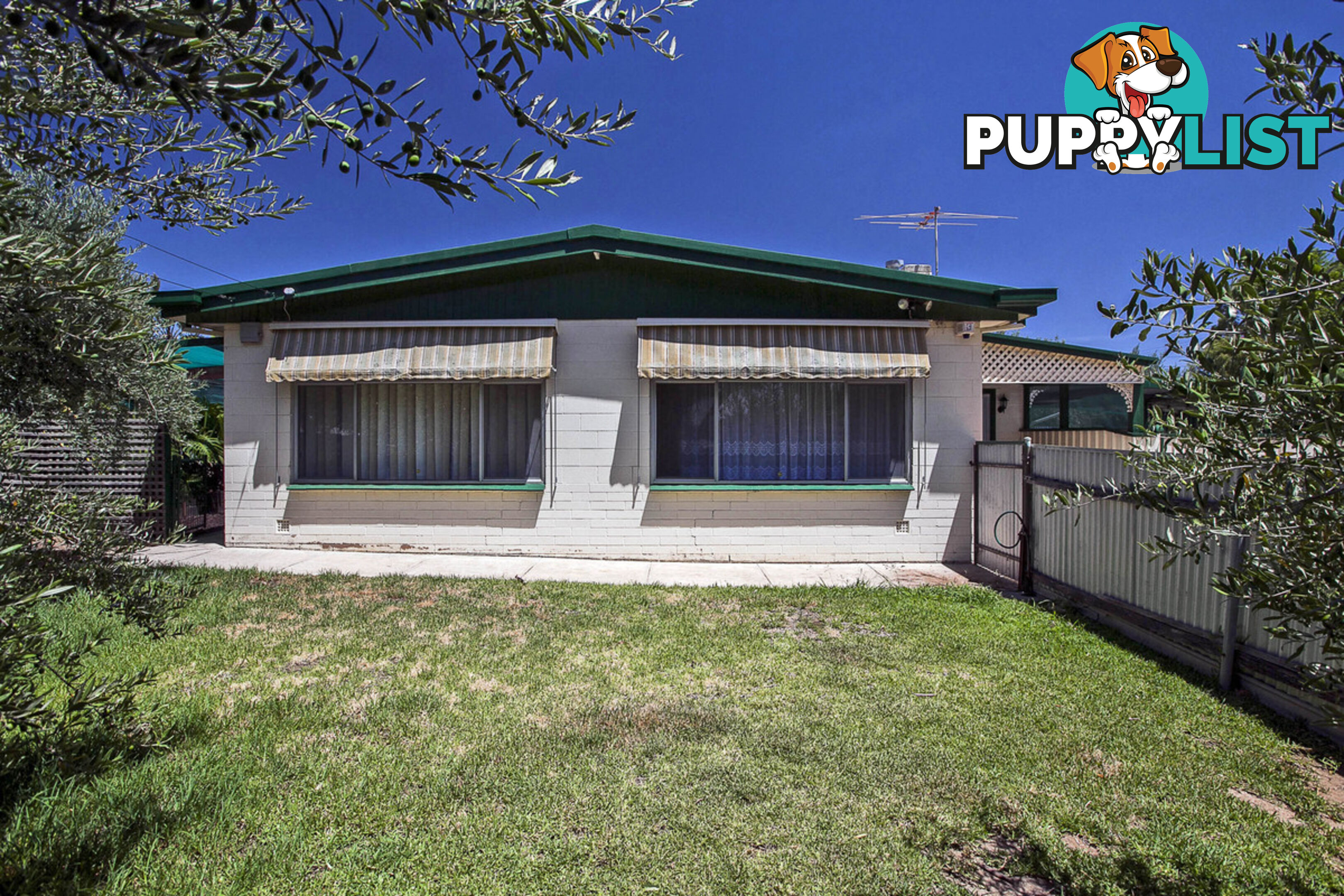 1 Albion Street RIDGEHAVEN SA 5097