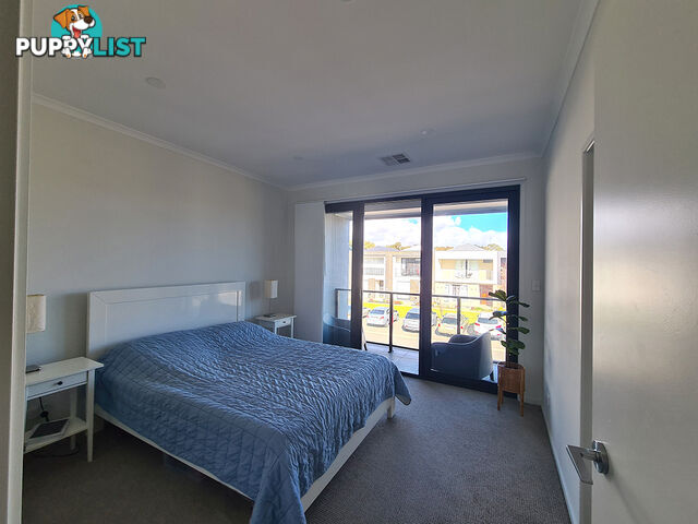 56 Riverside Avenue ALLENBY GARDENS SA 5009