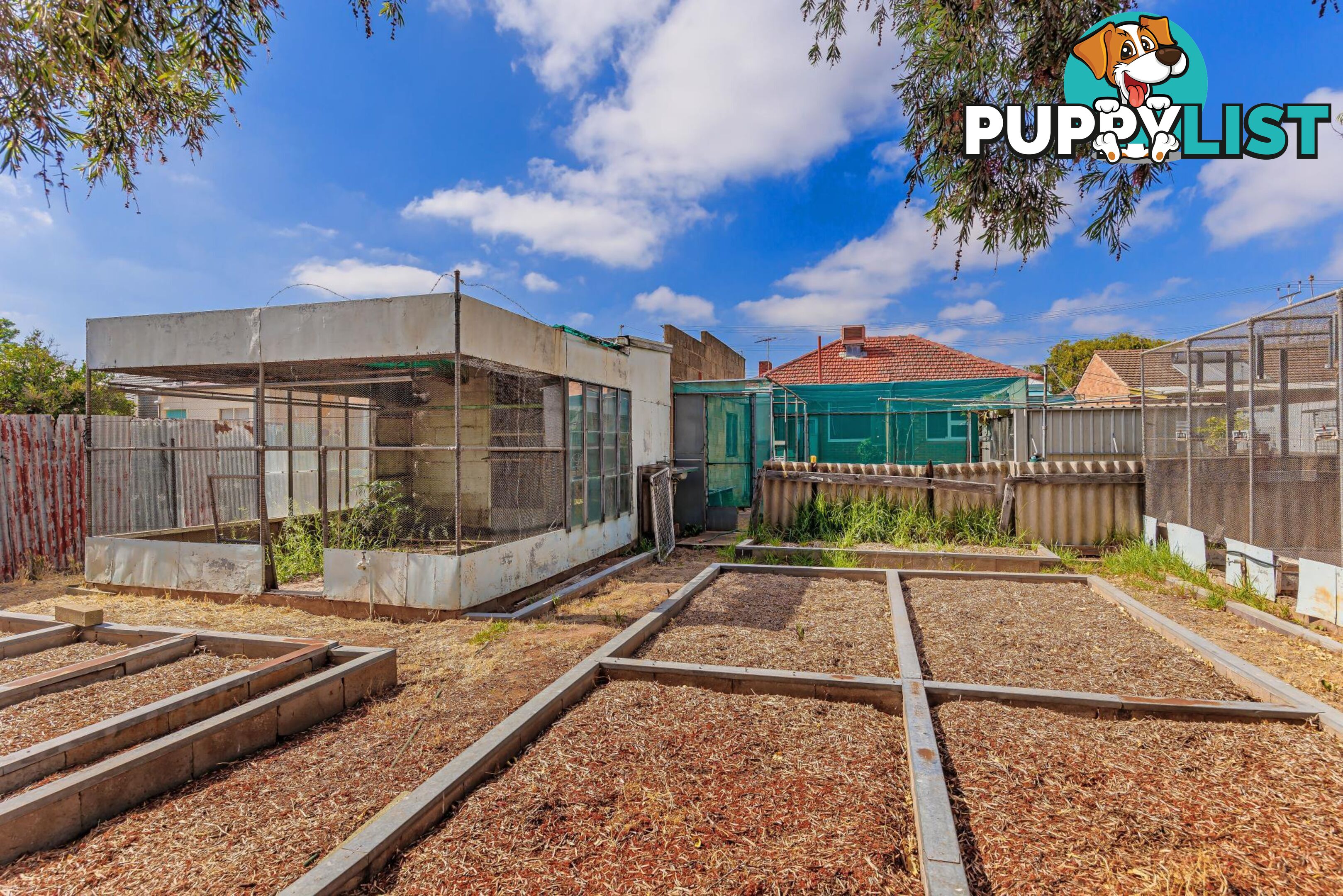 12 Pym Street CROYDON PARK SA 5008