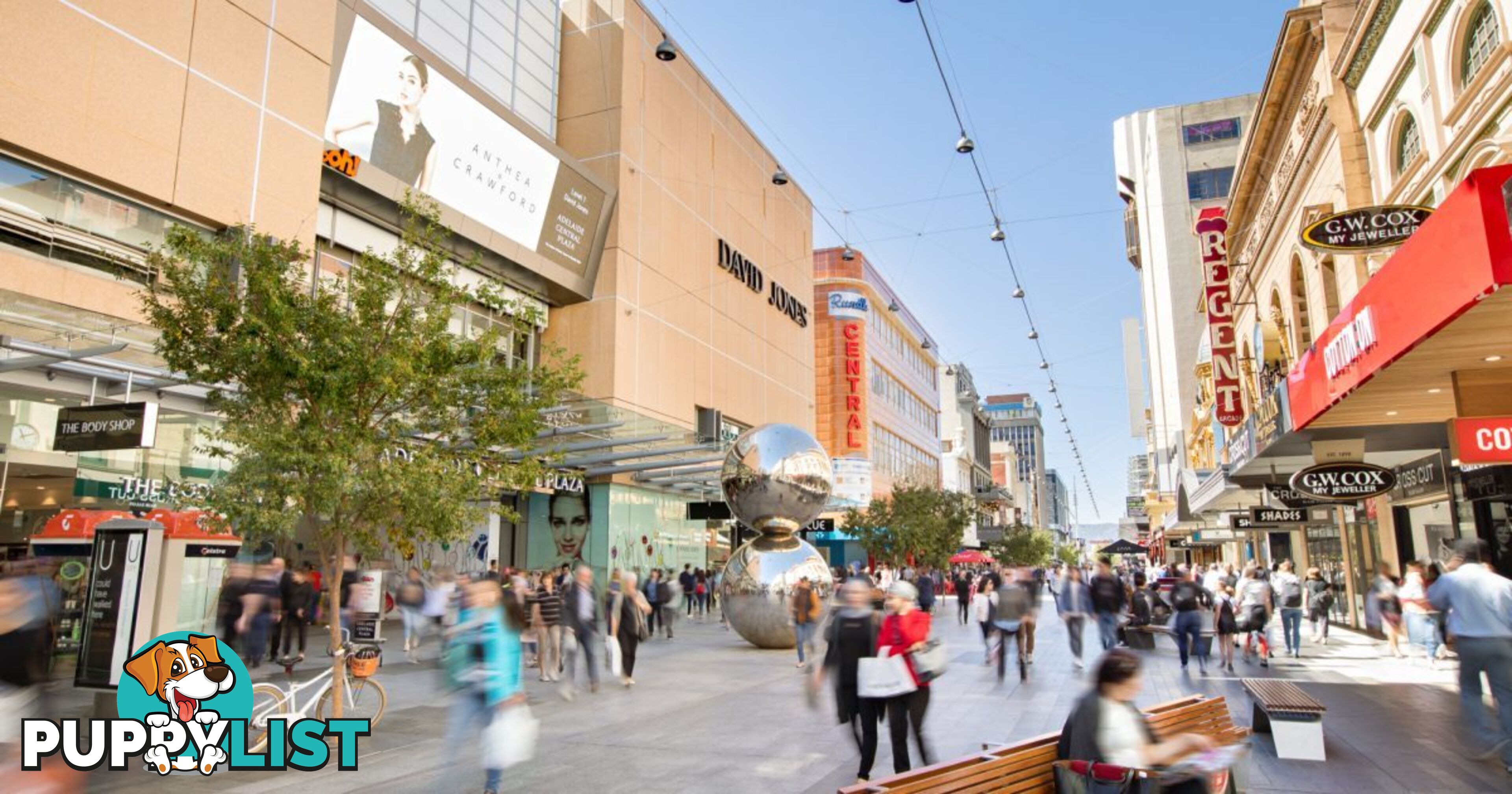 Room 1b - Level 4/133 Rundle Mall ADELAIDE SA 5000