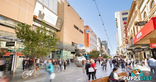 Room 1b - Level 4/133 Rundle Mall ADELAIDE SA 5000