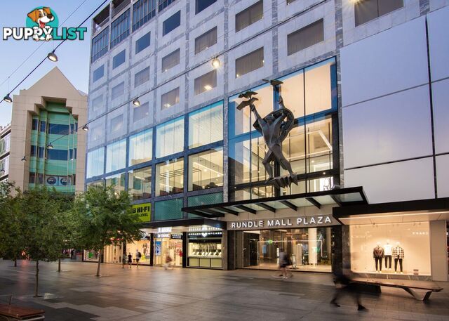 Room 1b - Level 4/133 Rundle Mall ADELAIDE SA 5000