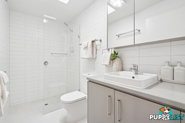 20 Symon Lane WEST LAKES SA 5021