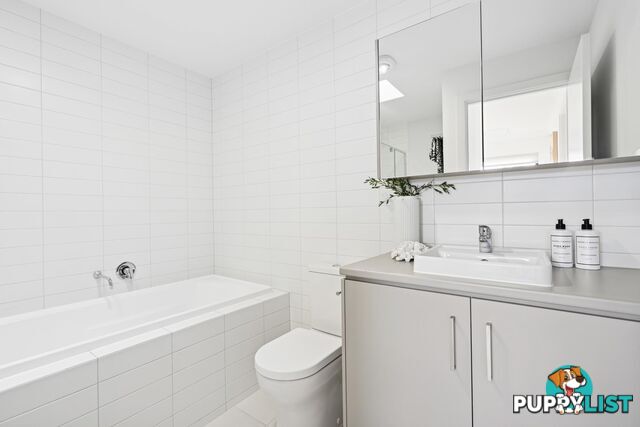 20 Symon Lane WEST LAKES SA 5021