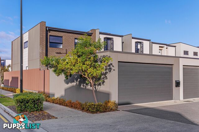 20 Symon Lane WEST LAKES SA 5021
