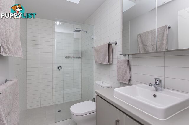 20 Symon Lane WEST LAKES SA 5021