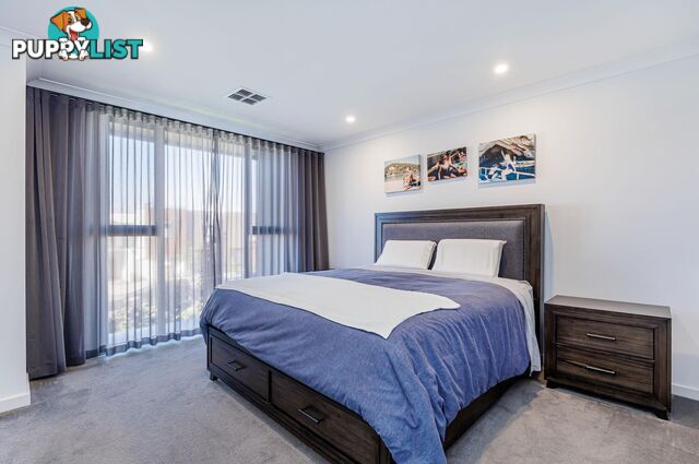 20 Symon Lane WEST LAKES SA 5021
