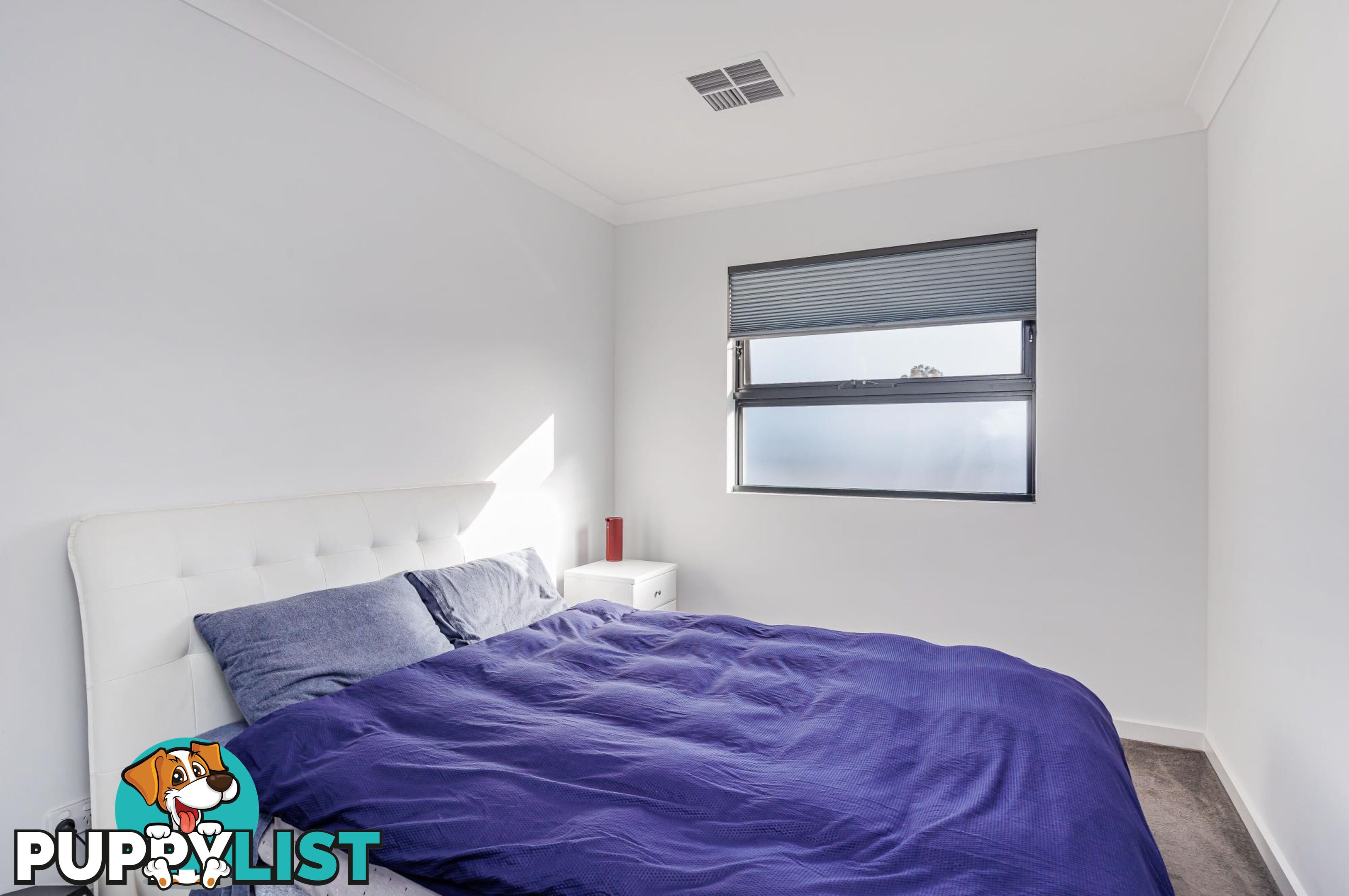 20 Symon Lane WEST LAKES SA 5021