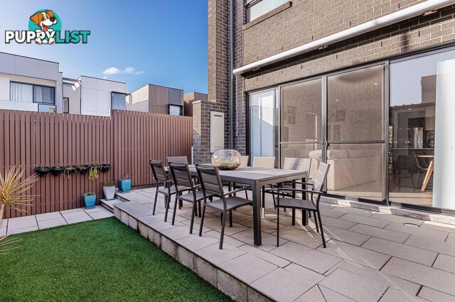 20 Symon Lane WEST LAKES SA 5021