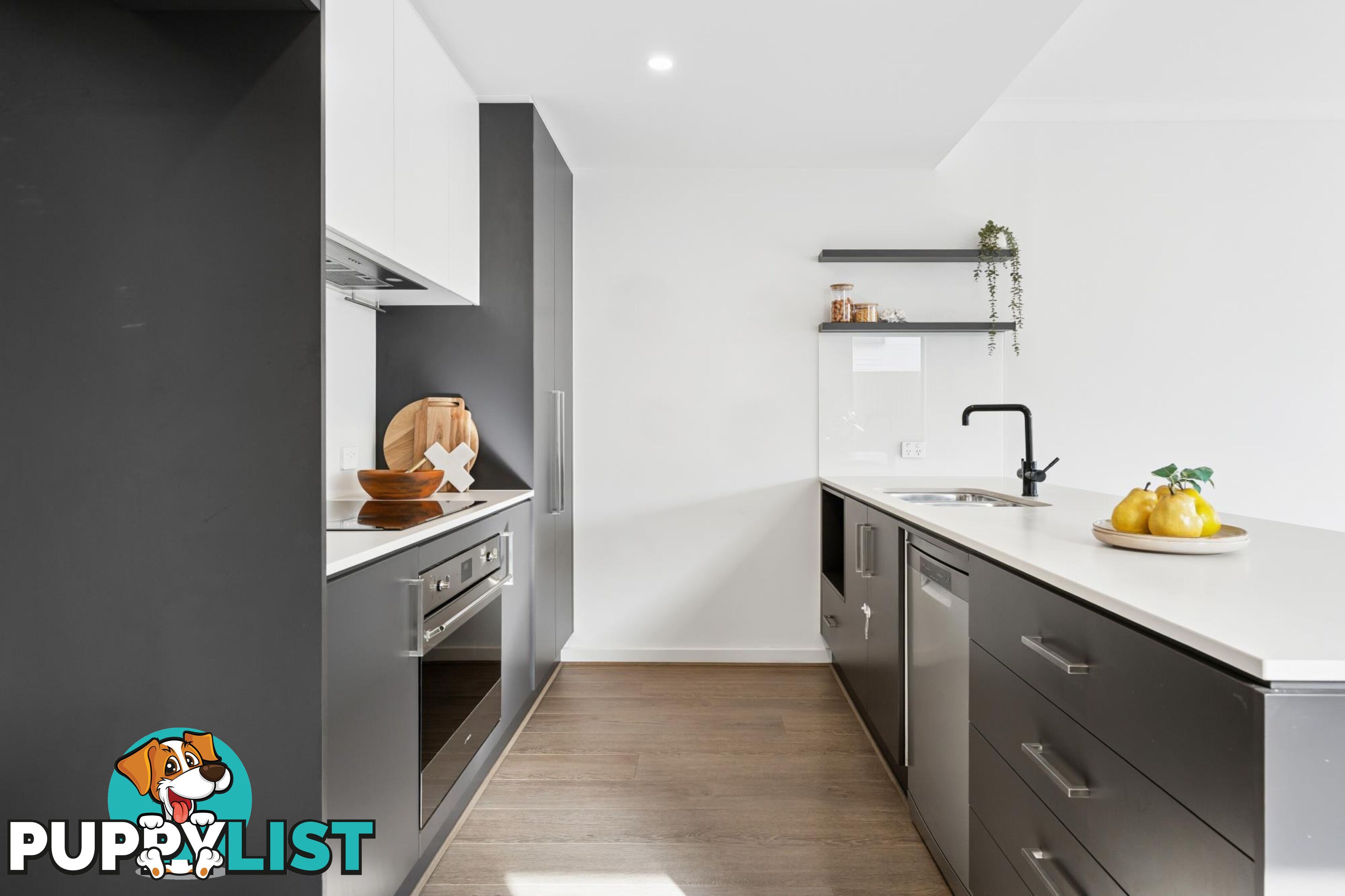 20 Symon Lane WEST LAKES SA 5021