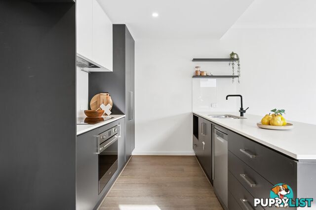 20 Symon Lane WEST LAKES SA 5021
