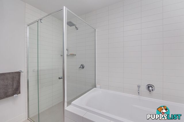 20 Symon Lane WEST LAKES SA 5021
