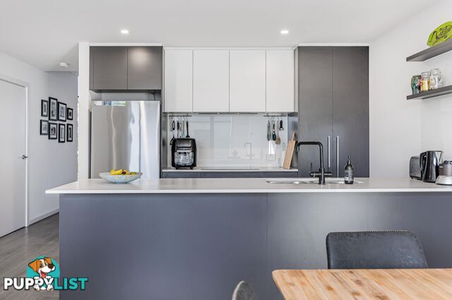 20 Symon Lane WEST LAKES SA 5021
