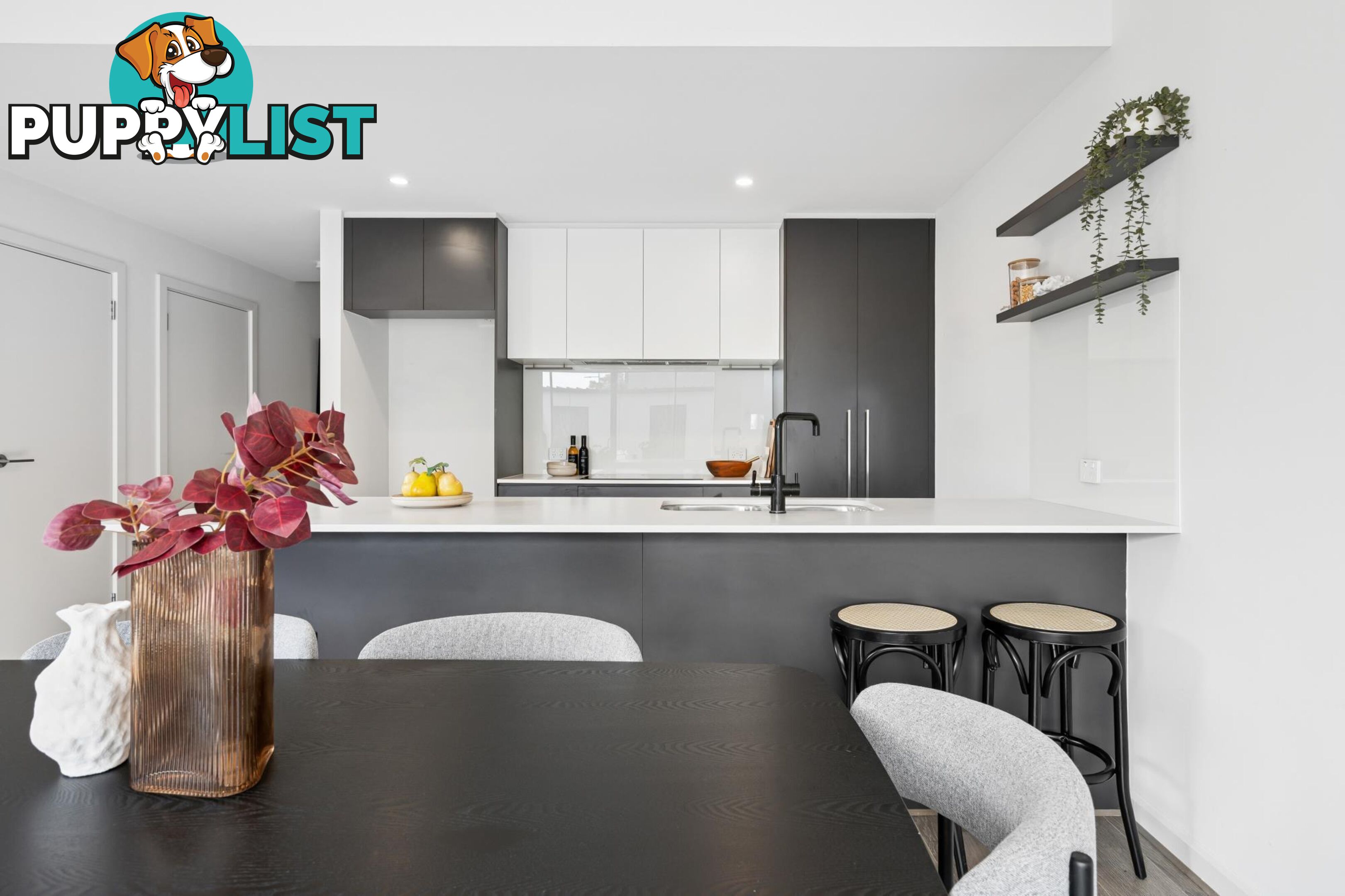 20 Symon Lane WEST LAKES SA 5021