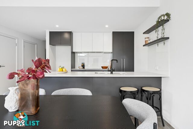 20 Symon Lane WEST LAKES SA 5021