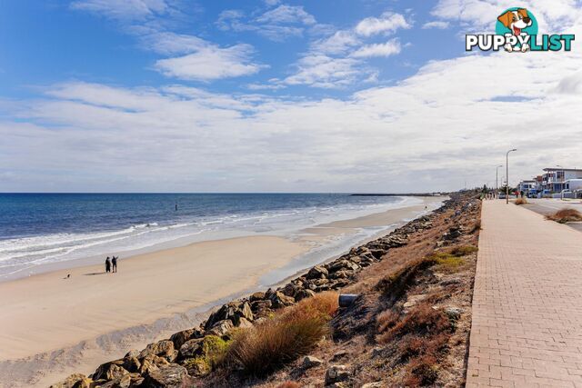 GLENELG NORTH SA 5045