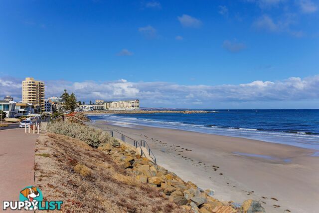 GLENELG NORTH SA 5045