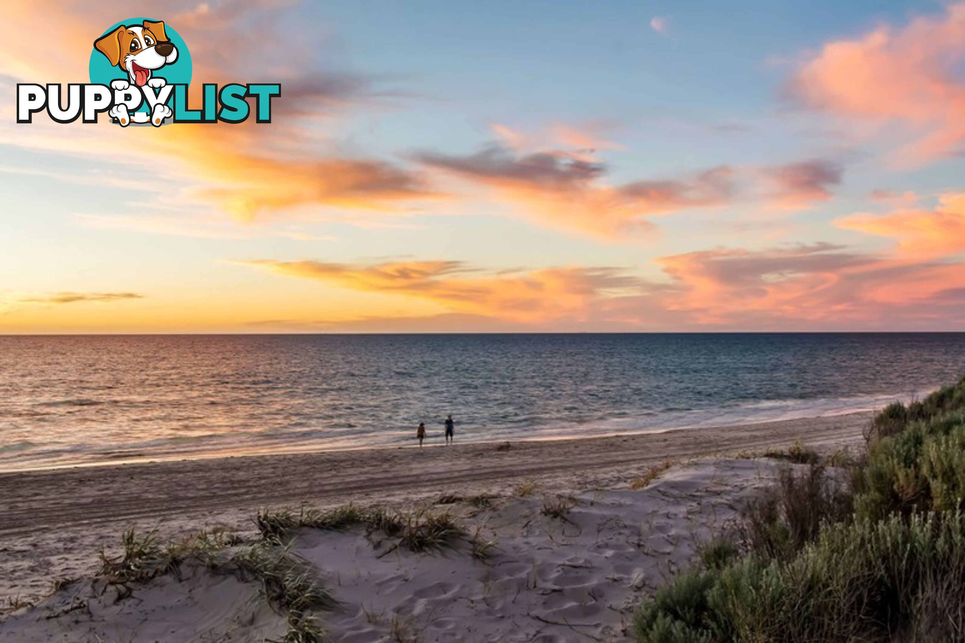3 Clegowie Street WEST BEACH SA 5024