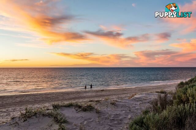 3 Clegowie Street WEST BEACH SA 5024