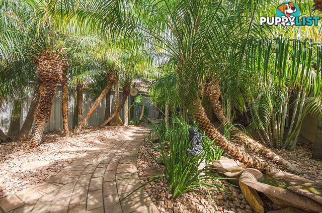 20 Langham Place PORT ADELAIDE SA 5015