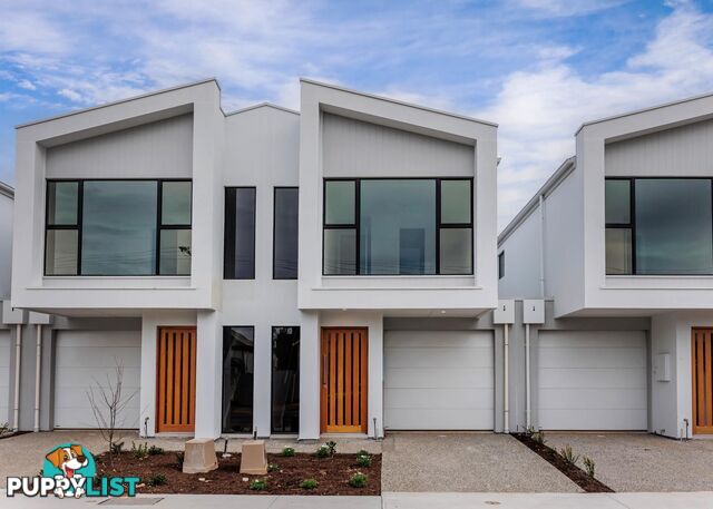 4/2 Rawlings Avenue TORRENSVILLE SA 5031