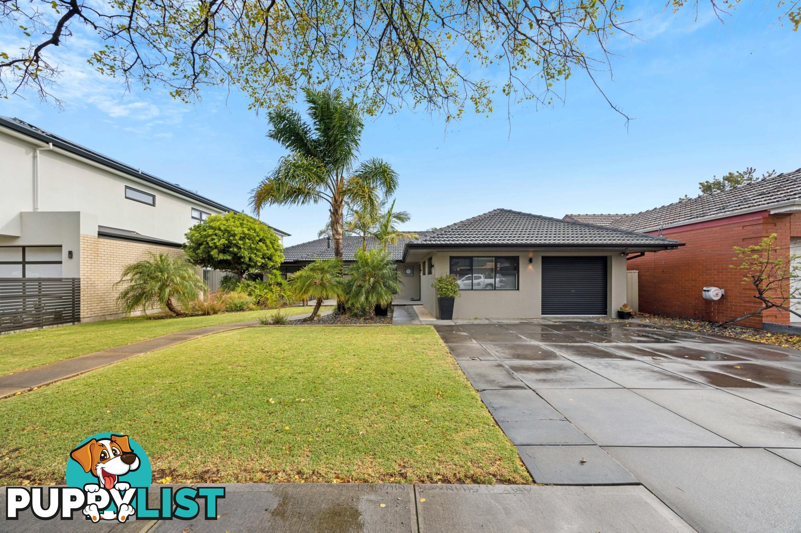 10 Broadmore Avenue FULHAM SA 5024