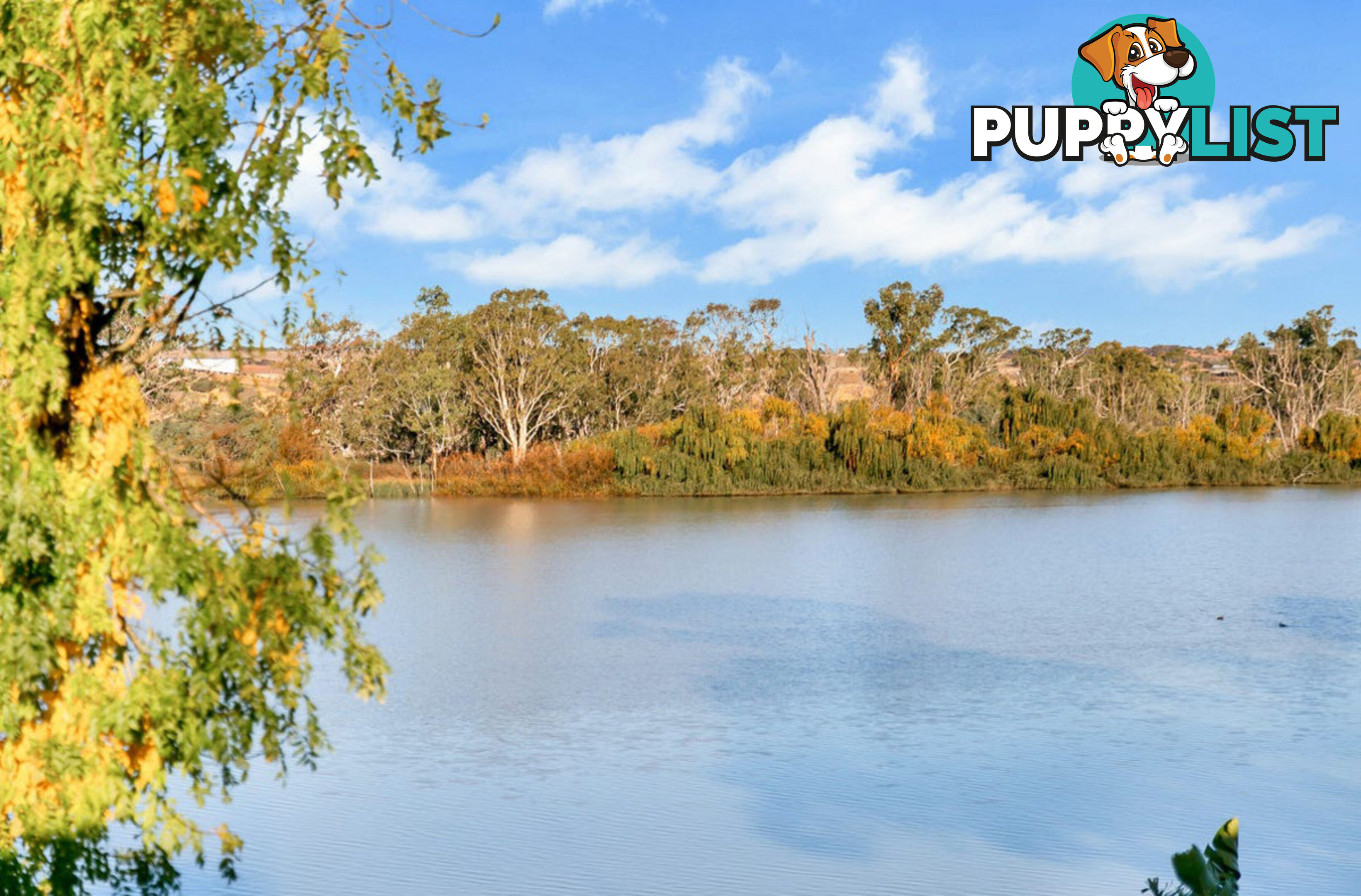 Lot 91/ River Lane MANNUM SA 5238