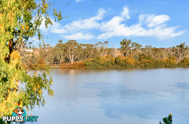 Lot 91/ River Lane MANNUM SA 5238