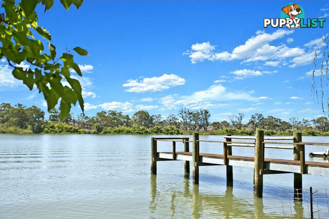 Lot 91/ River Lane MANNUM SA 5238