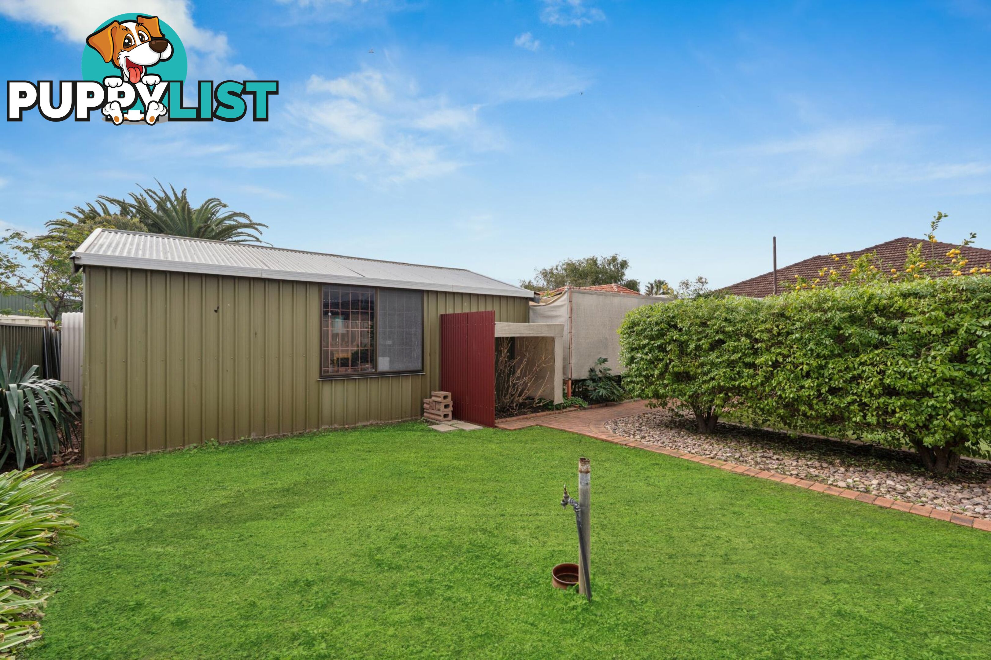 22 Albert Street SEATON SA 5023