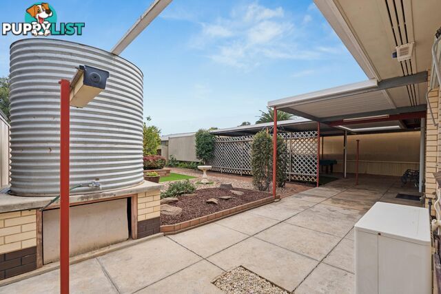 22 Albert Street SEATON SA 5023