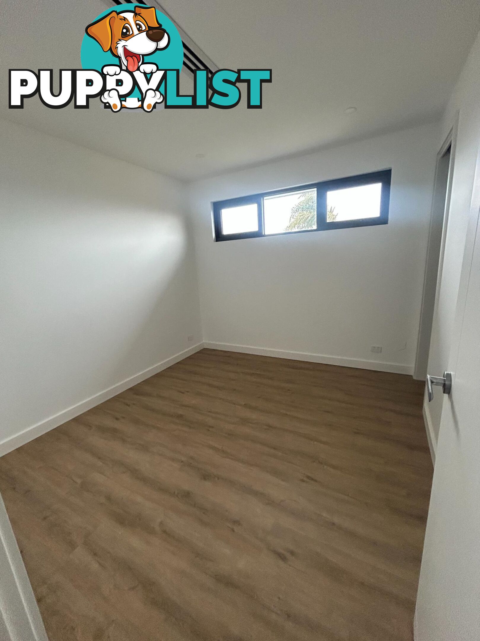12A Russ Avenue SEATON SA 5023