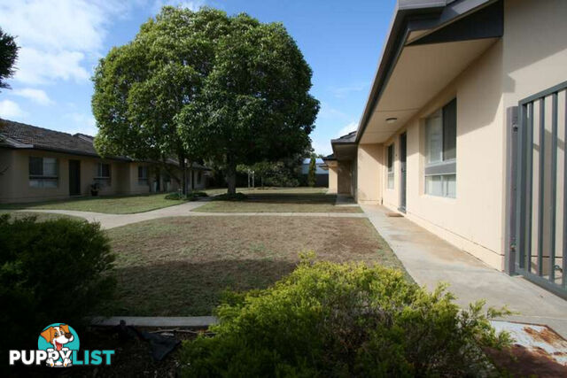 20/2 Bach Crescent SEATON SA 5023