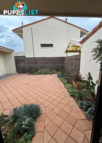 226 Sportsmans Drive WEST LAKES SA 5021