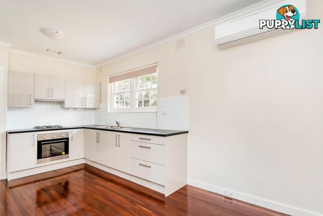 16 Canino Drive KIDMAN PARK SA 5025