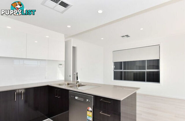 54A Lines Street GRANGE SA 5022